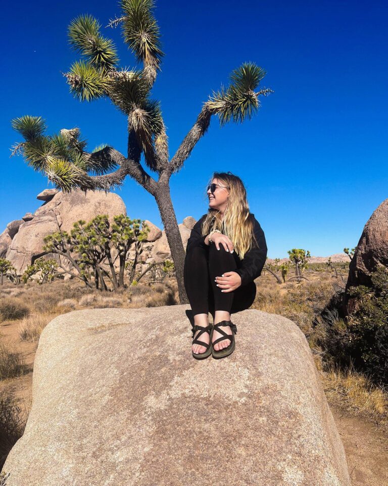 Joshua Tree in One Day: Must-See Spots & Tips